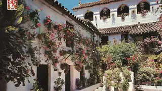 Estos son los Patios históricos de Córdoba que ya no participan en el festival