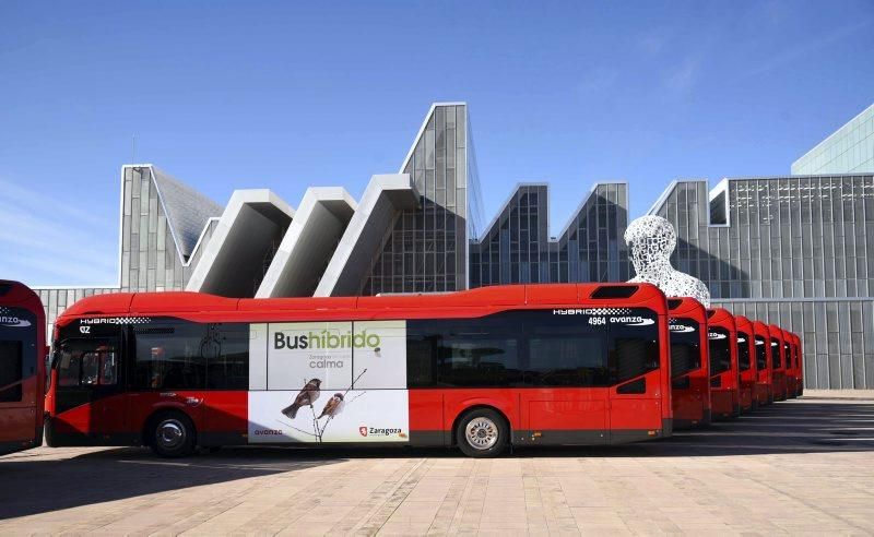 Presentación de la nueva flota de autobuses híbridos de Zaragoza