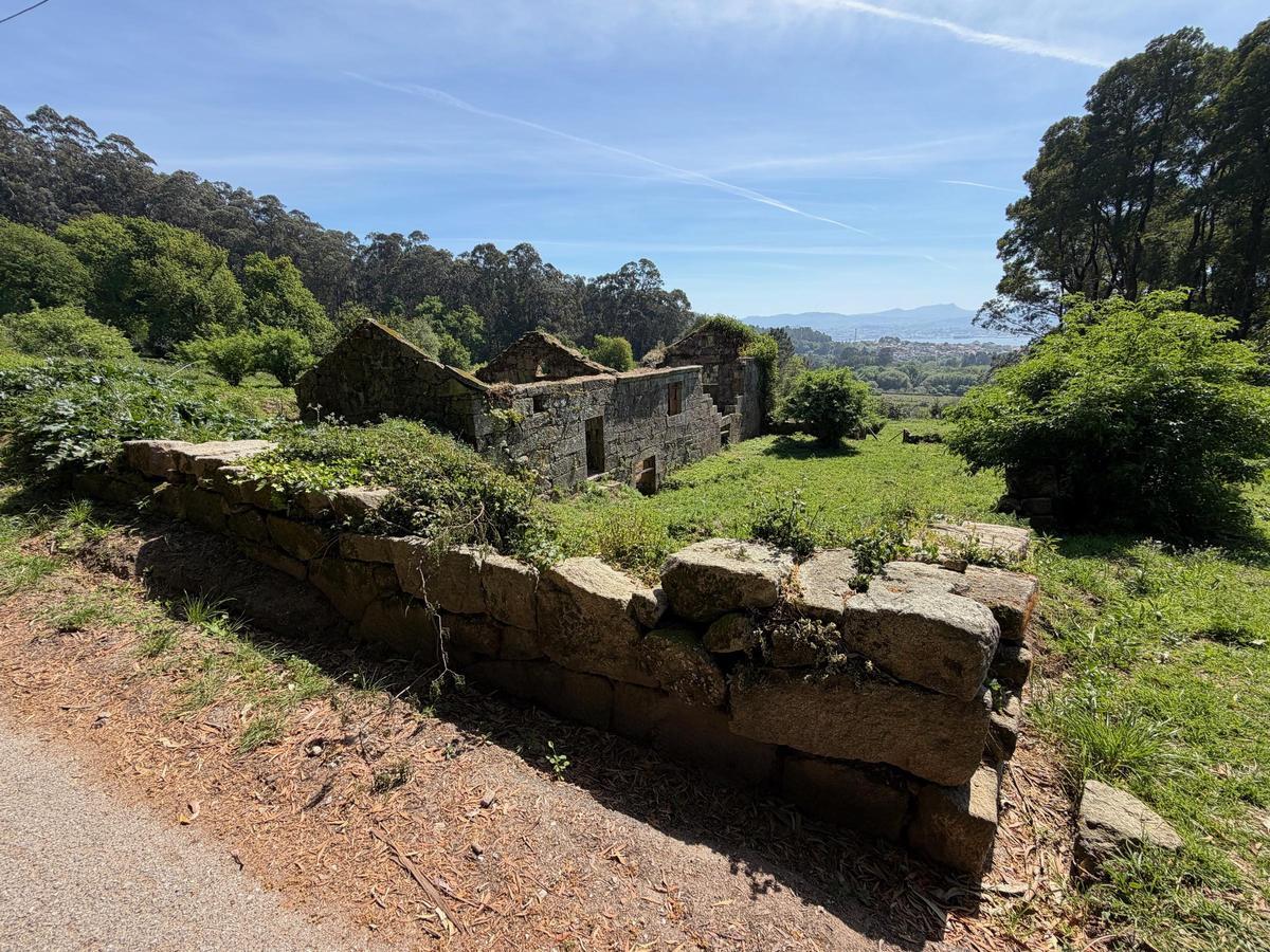 La conocida como "Granxa do Castro", una finca de casi tres hectáreas donde ya se trabaja para cambiar invasoras por frondosas.