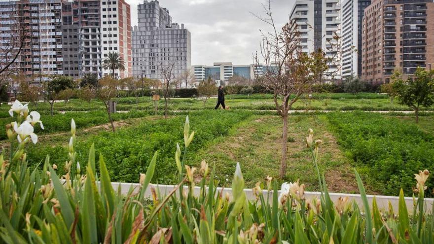 El pasado inspira la ciudad del futuro