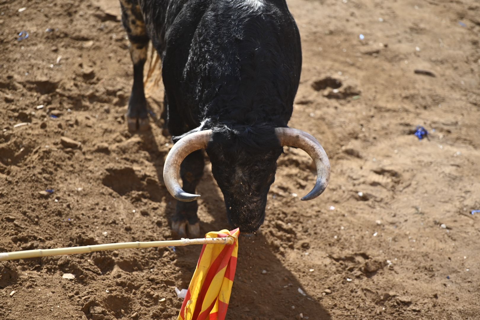 Galería | Primera tarde de toros en Almassora