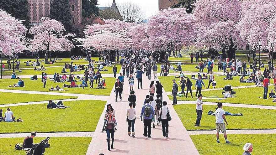 Figuración del campus de la Universidad de Washington en la que se inspira la UV.