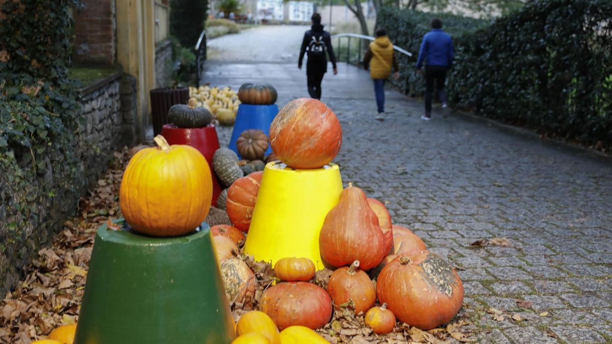 Calabazas en el Jardín Botánico, en una imagen de archivo.