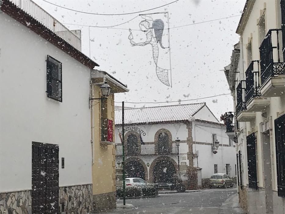 Nieve en Alfarnate.