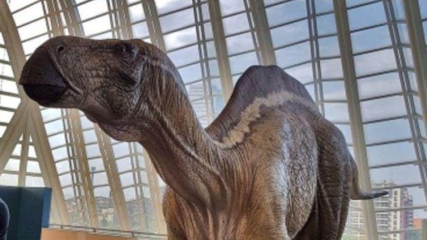 Gasulla reivindica que la UJI tenga estudios de paleontología tras hallazgos como el dinosaurio Morelladon
