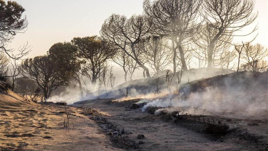 Asaja estima en 5 millones de euros los daños a agricultores por el incendio de Moguer