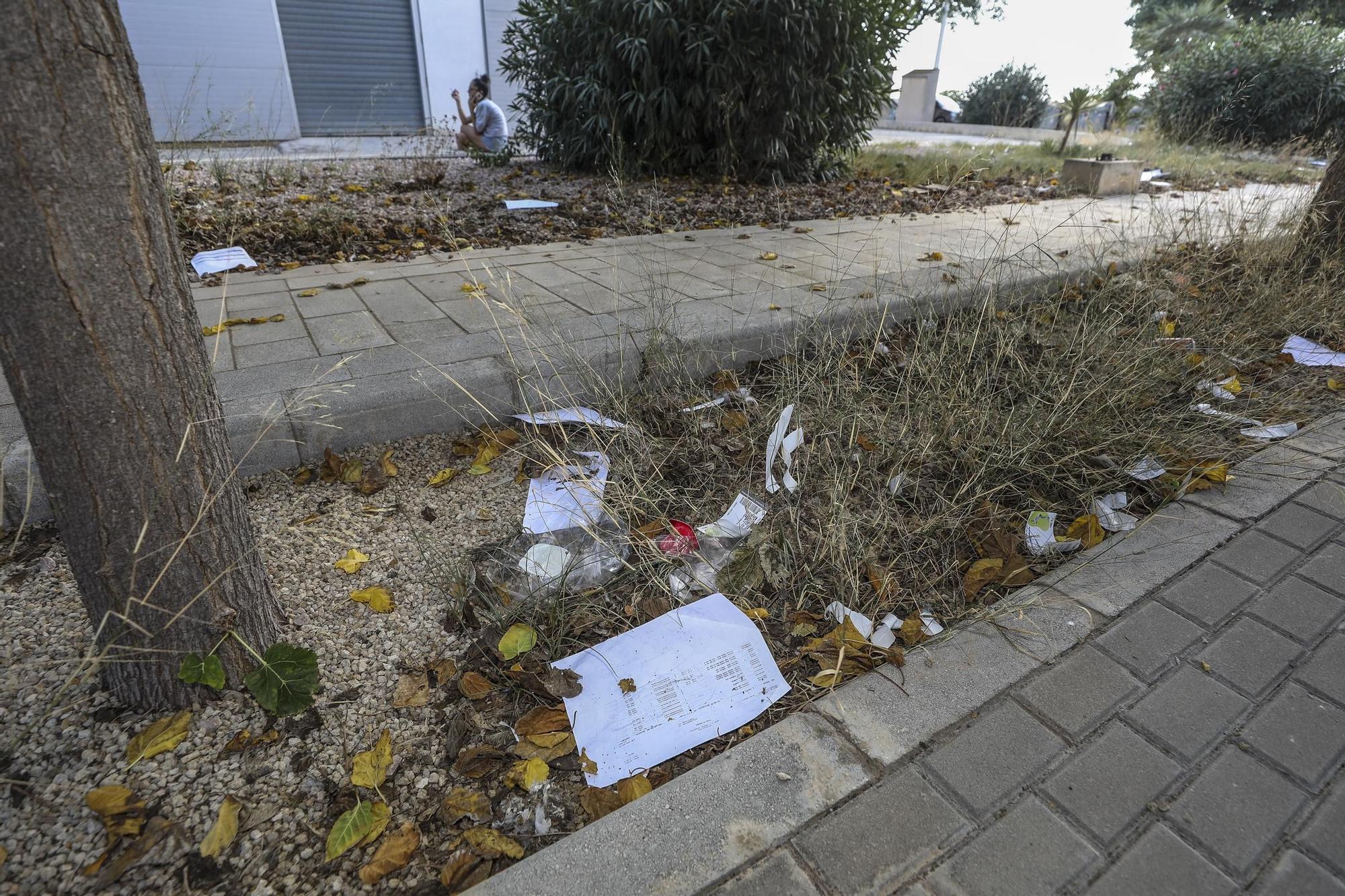 La maleza desborda el Parque Empresarial de Elche