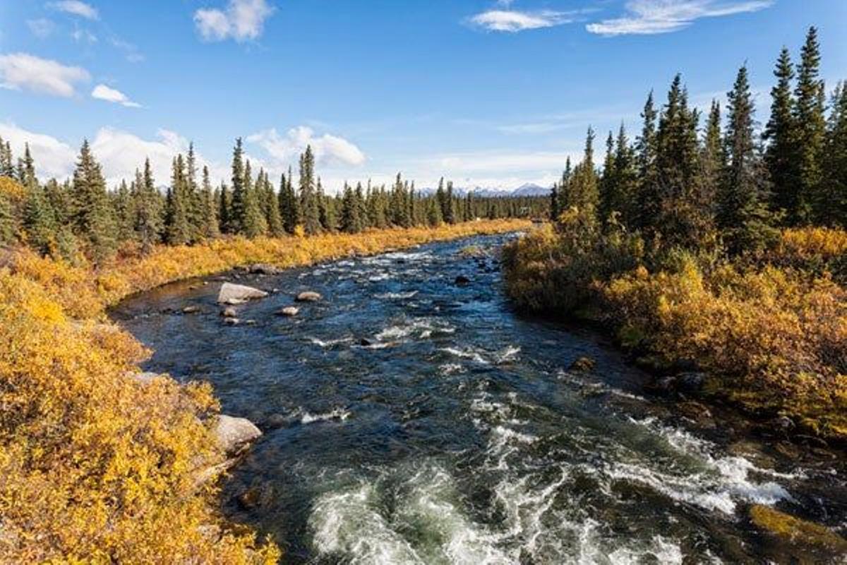 Típica estampa de la naturaleza de Alaska.