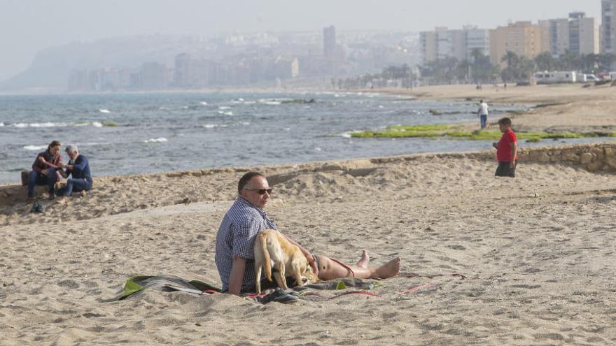 Amigos de los Humedales y PCM intentan parar el plan para urbanizar la playa de Agua Amarga en Alicante