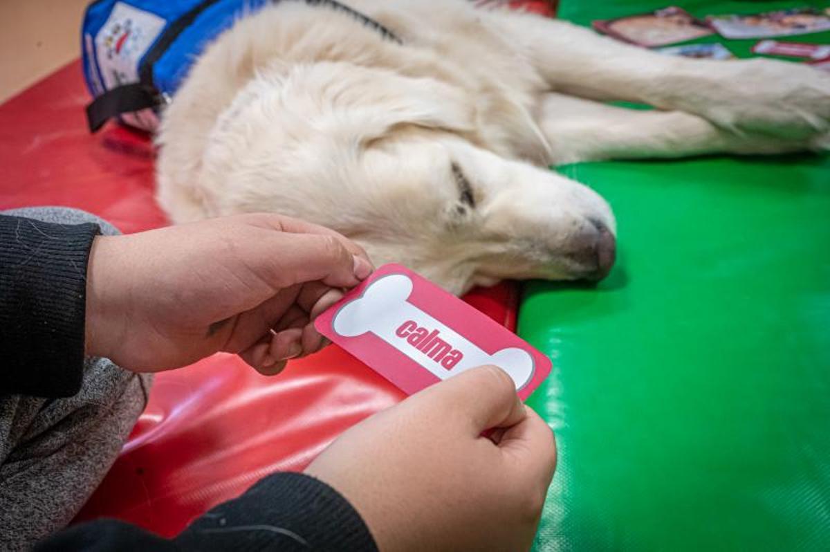 Terapia con perros, en el hospital de día de niños, en el Clínic