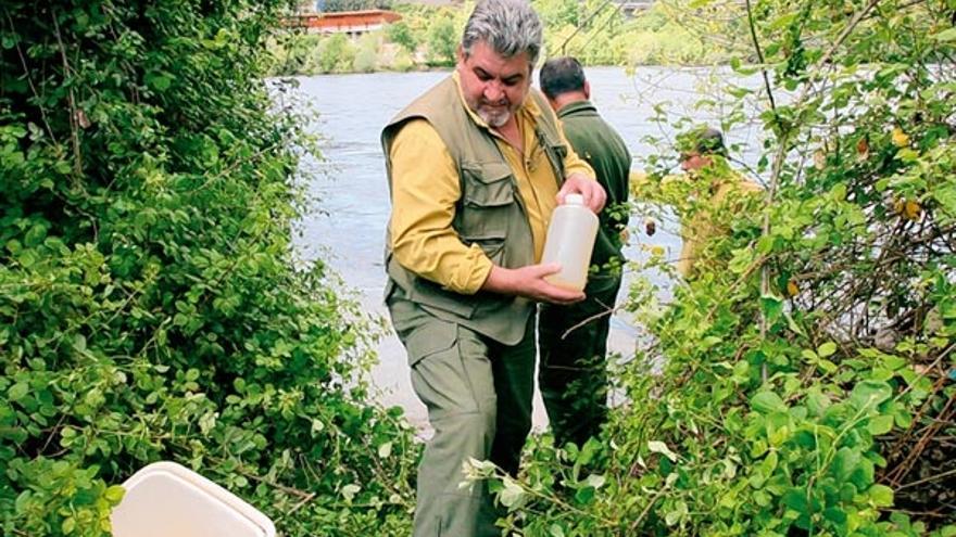 Técnicos de Medio Ambiente toman muestras en el río.