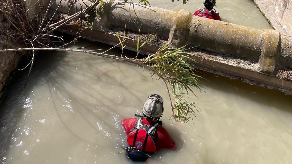 Efectivos, durante la búsqueda del vecino de Archena desaparecido en el río.