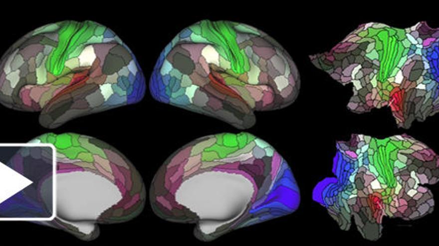 El mapa perfeccionado del cerebro.