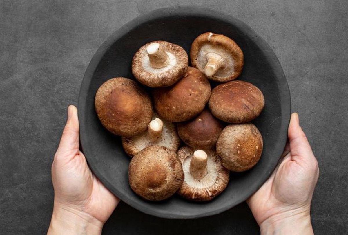 Las setas cultivadas shiitake se pueden consumir prácticamente todo el año. | SHUTTERSTOCK