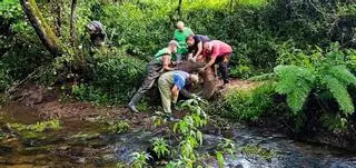 Retirados 1.600 kilos más de basura del tramo urbano de río Gafos