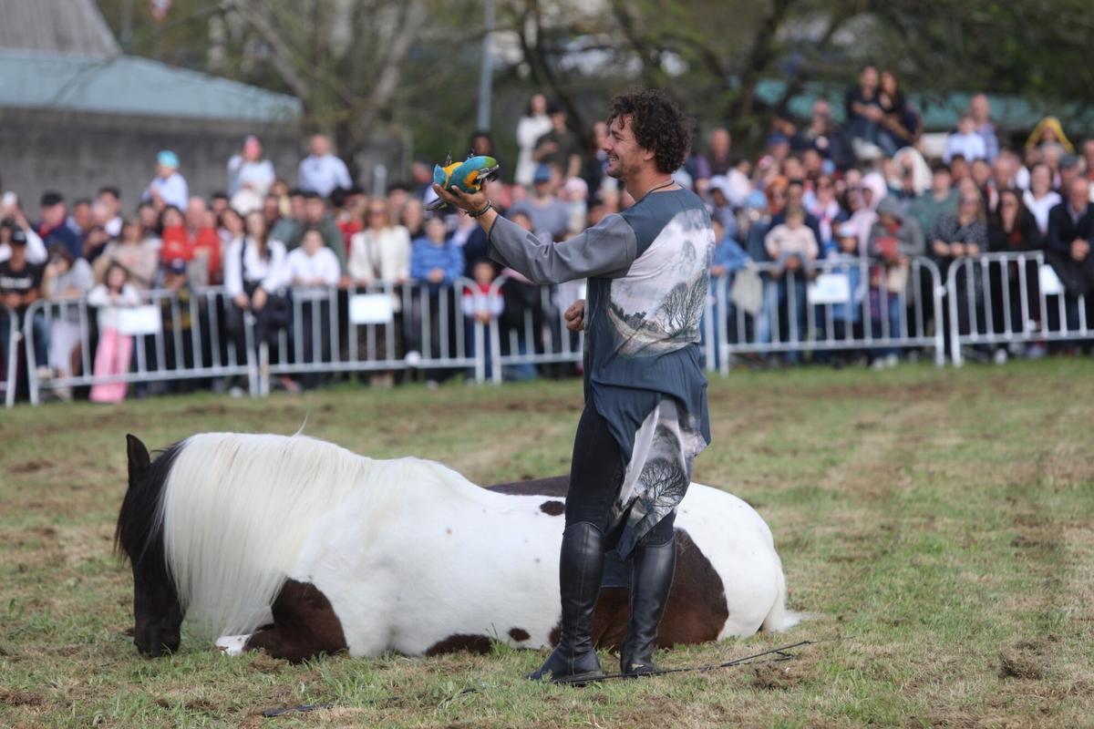 La XXXV Feira do Cabalo de Lalín cerró ayer su segunda y última jornada con una notable afluencia de público
