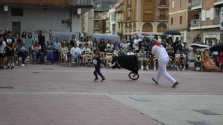 Días de Recortes en Benavente