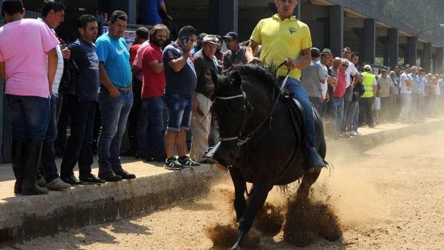 Mosteiro, capital del caballo