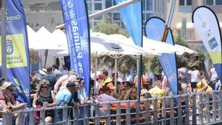 La Cícer estrena en junio una gran cita nacional de longboard