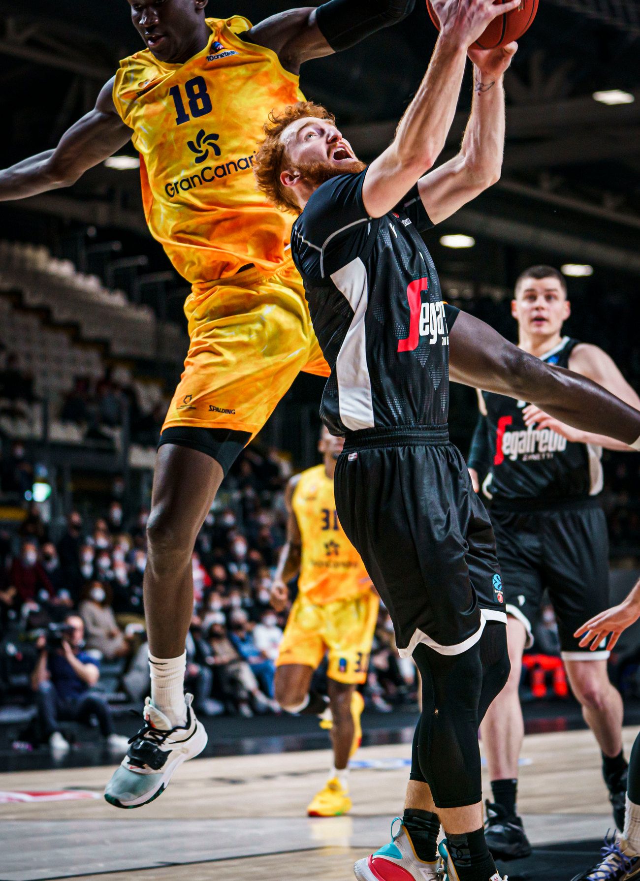 Virtus Bolonia - CB Gran Canaria