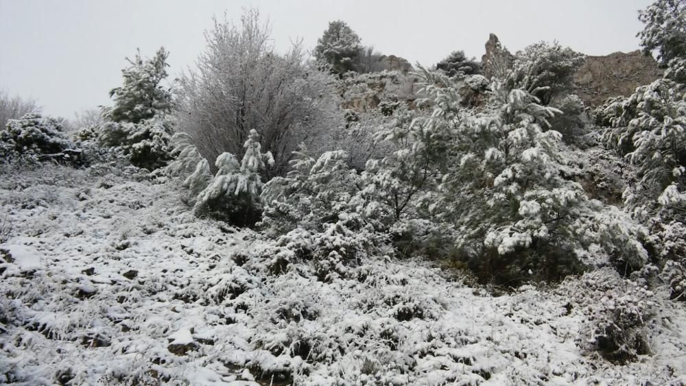 La nieve cubre la Font del Partagás, en la Sierra de Aitana