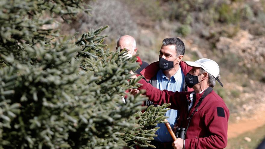 El presidente Pedro Sánchez visita la Sierra de las Nieves