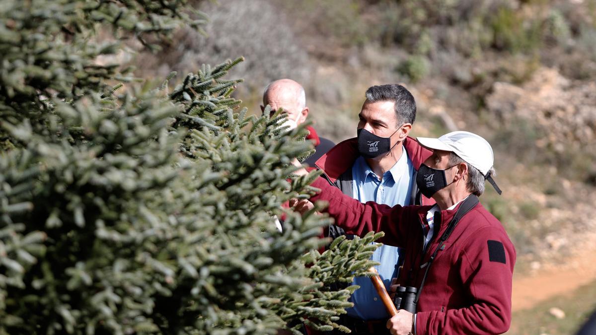 El presidente Sánchez visita la Sierra de las Nieves