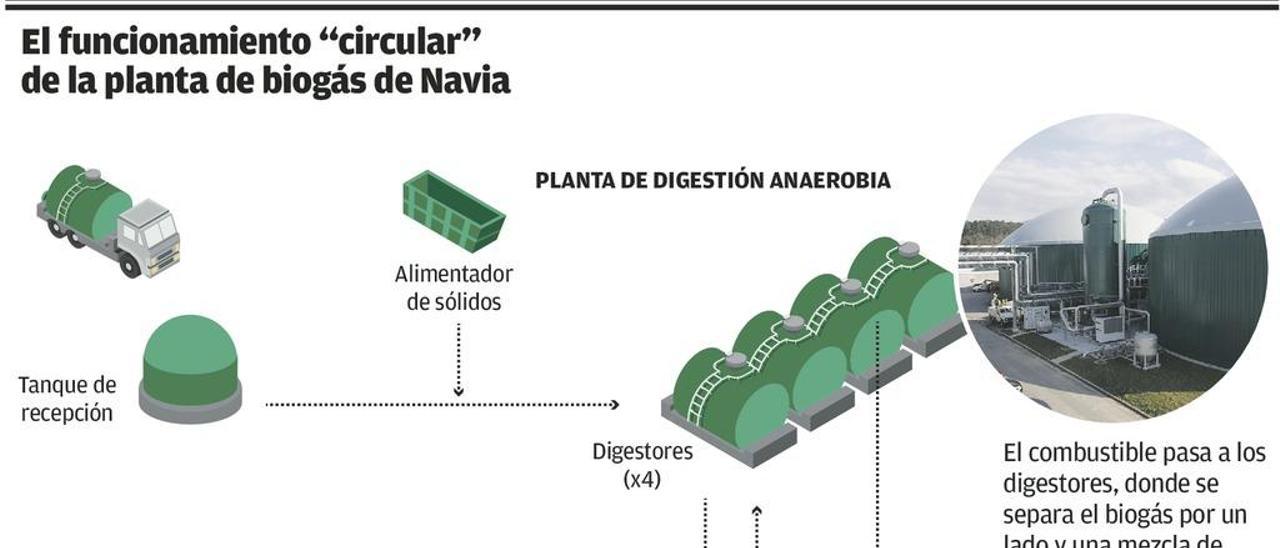 La electricidad que da la vaca