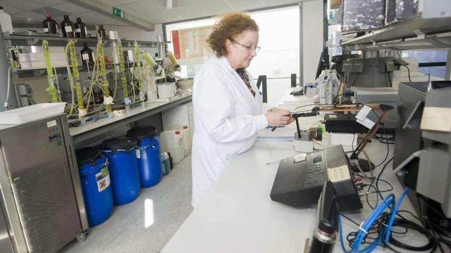 Imagen del Laboratorio de Medio Ambiente de Galicia en A Coruña. // 13Fotos