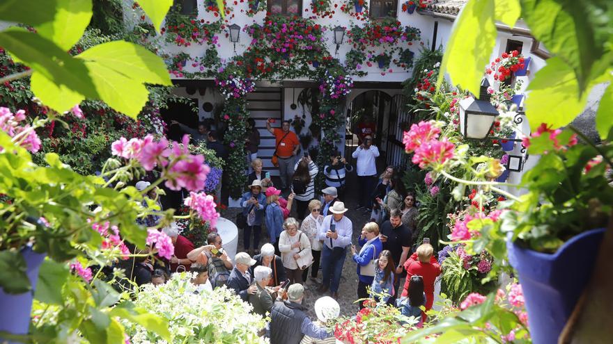 Estos son los 12 recintos de la ruta 5 de los Patios de Córdoba 2026 en el Alcázar Viejo