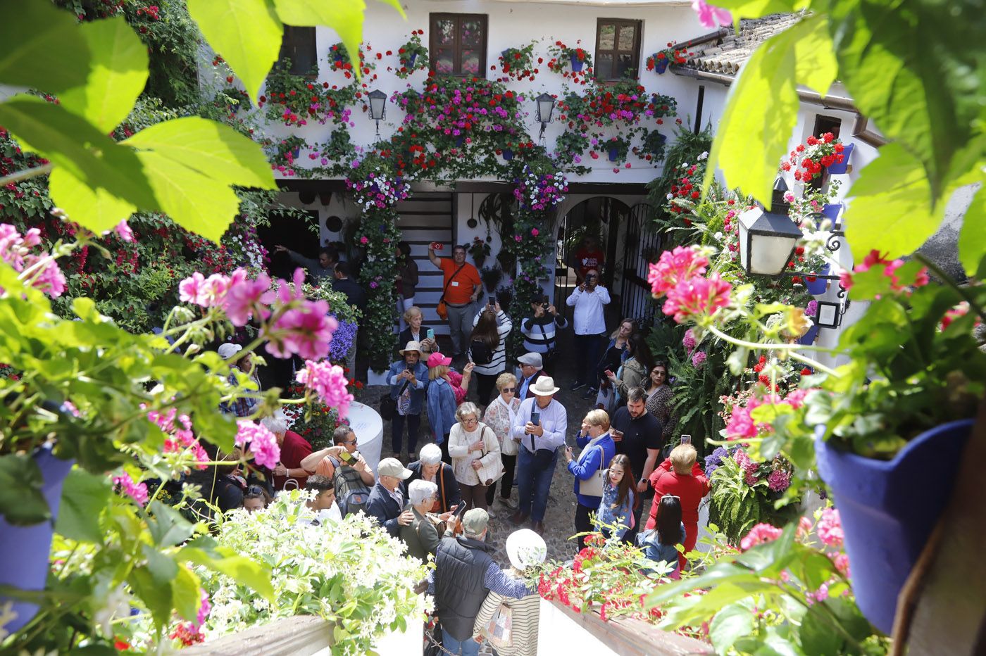 Patios de Córdoba: San Basilio 44
