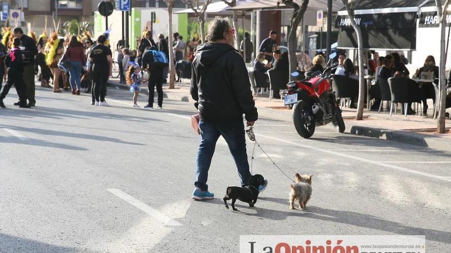 Carnaval del Distrito Este de Murcia