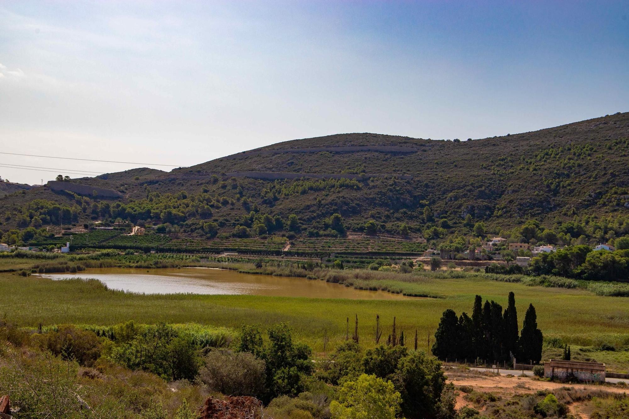Evolución de la Bassa de Sant Llorenç de Cullera en los últimos años