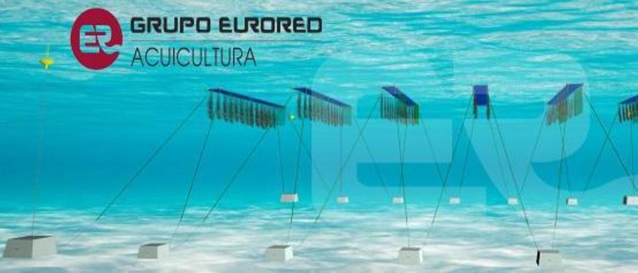 Recreación de cómo quedaría el sistema de captación de mejilla bajo el agua. |   // GRUPO EURORED