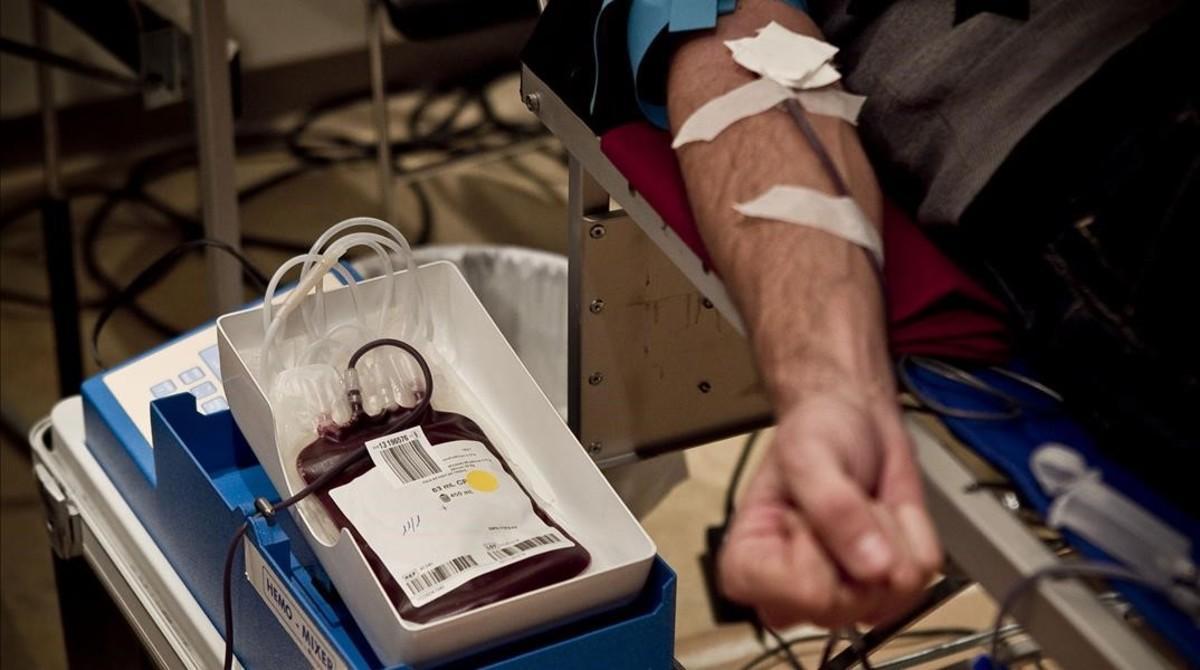 Una persona dona sangre para el Banc de Sang de Catalunya.