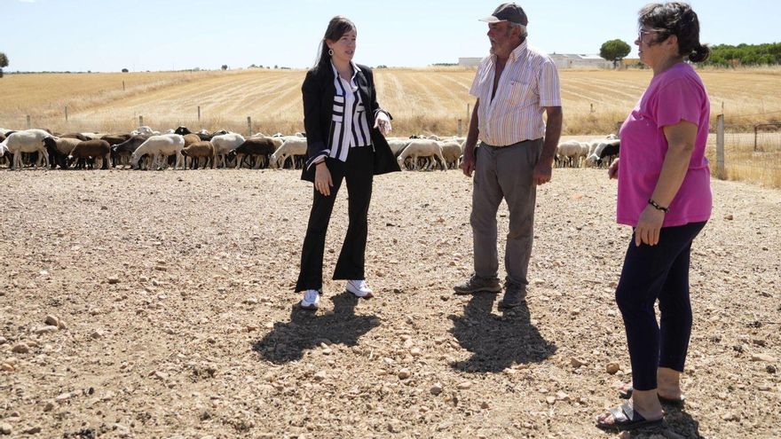 Las últimas voces del ovino en Zamora: el ocaso de un oficio