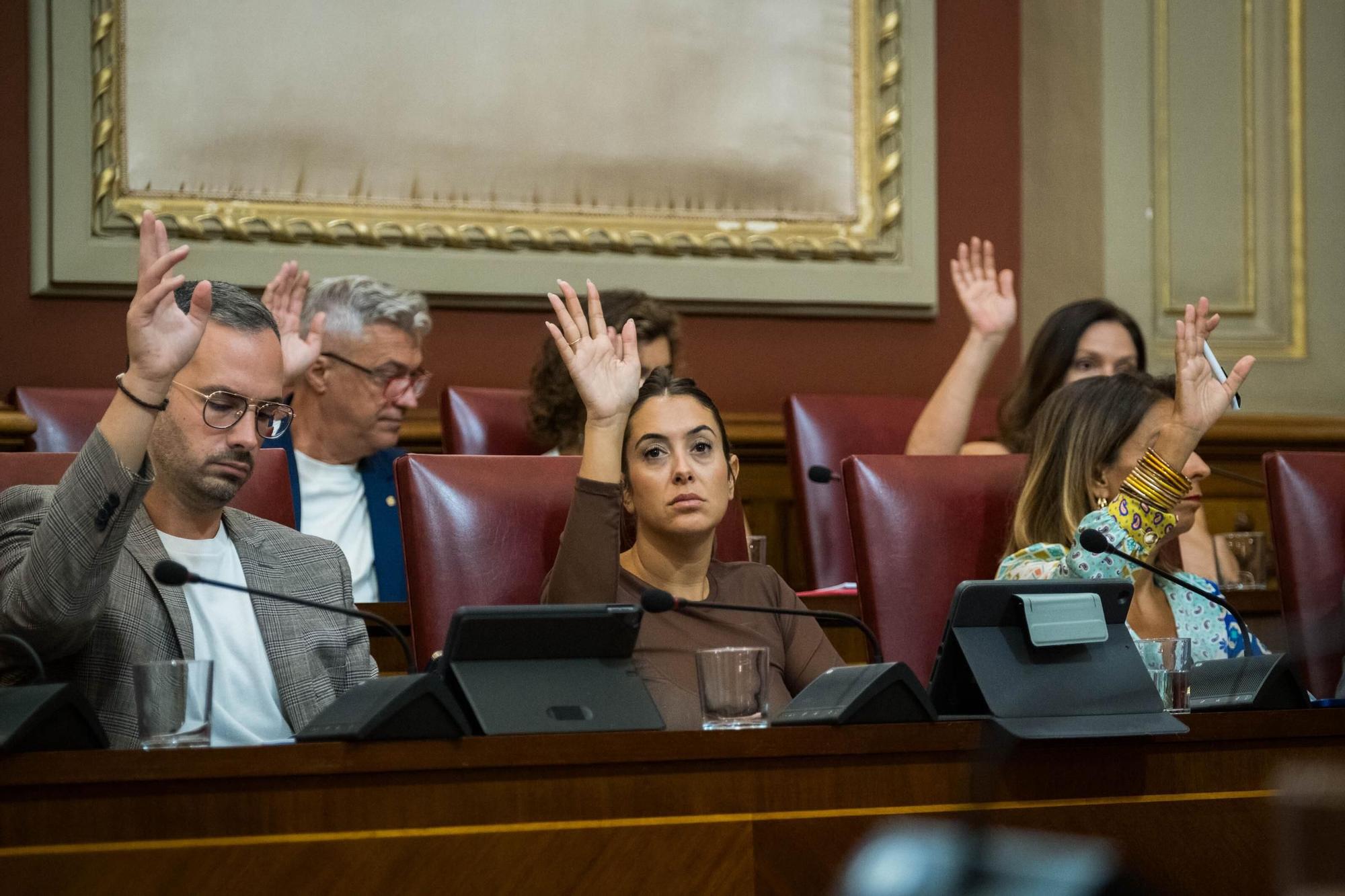 Pleno del Ayuntamiento Santa Cruz