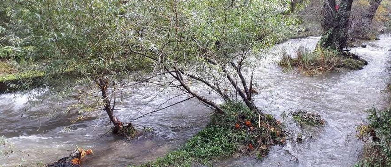 El río de Os Gafos discurre estos días con un elevado caudal. // Faro