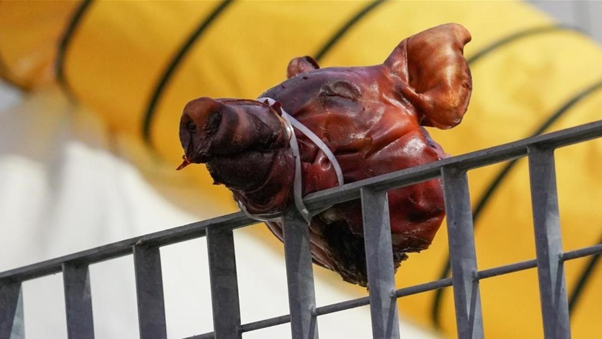 La cabeza de cerdo, colgada en los aledaños del 'hospitaloty' del equipo de Marc Marquez.