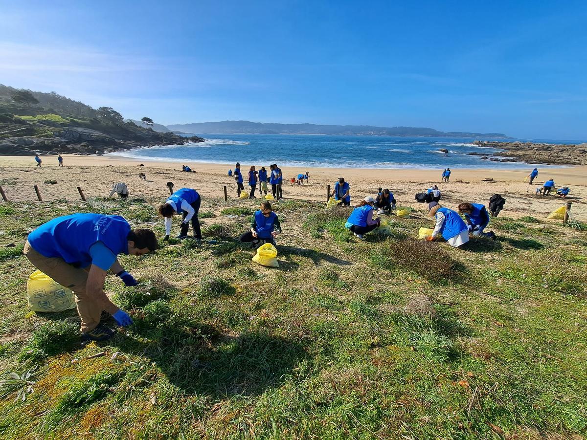 La limpieza de la playa de Area de Bon, en Bueu, en imágenes (II)