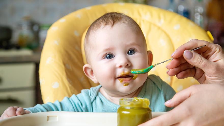 Encuentran compuestos contaminantes en purés infantiles