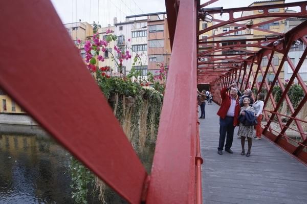 Comencen els preparatius per Temps de Flors