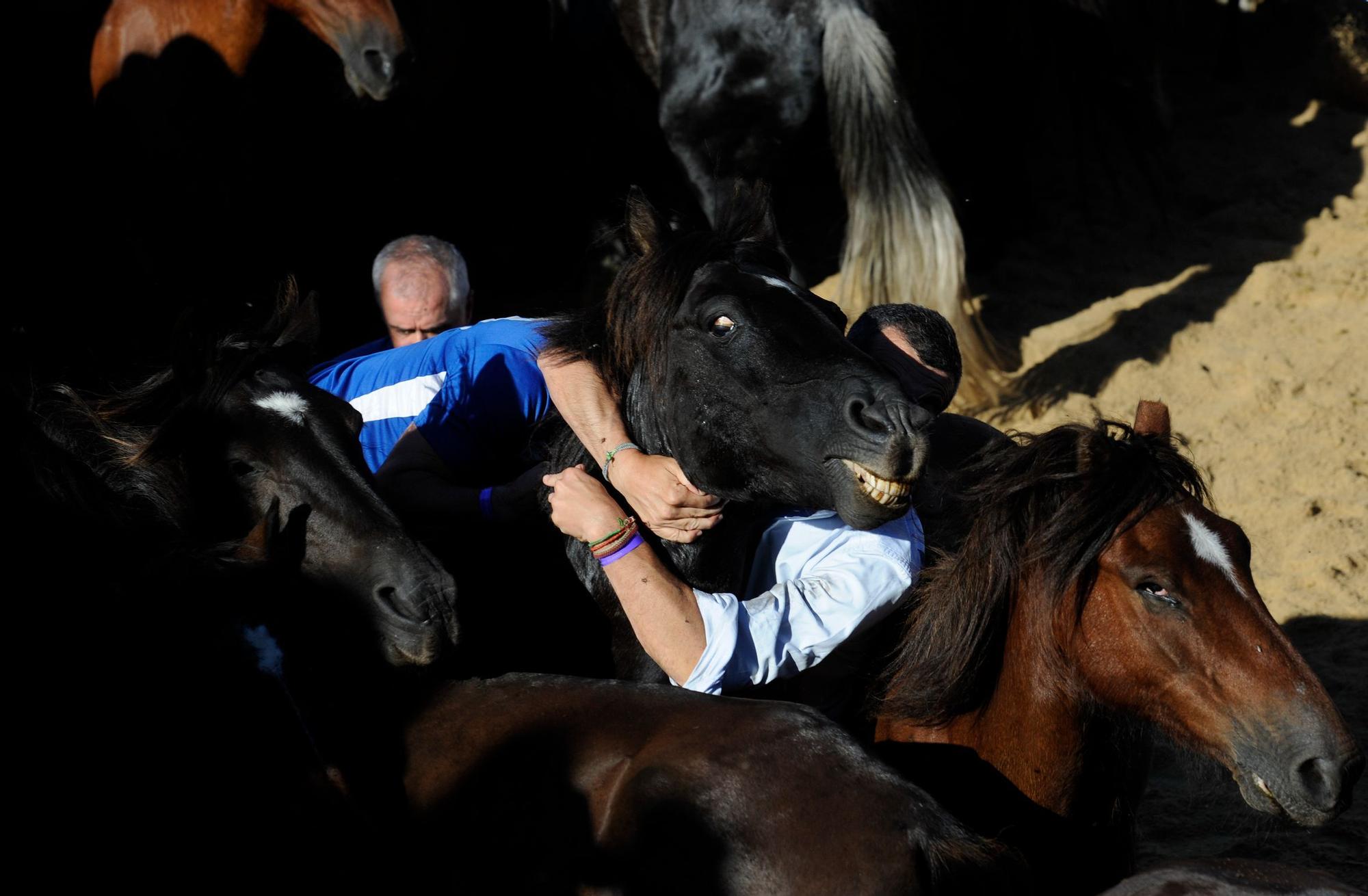 Una multitudinaria Rapa sin restricciones: 1.800 personas abarrotan Sabucedo