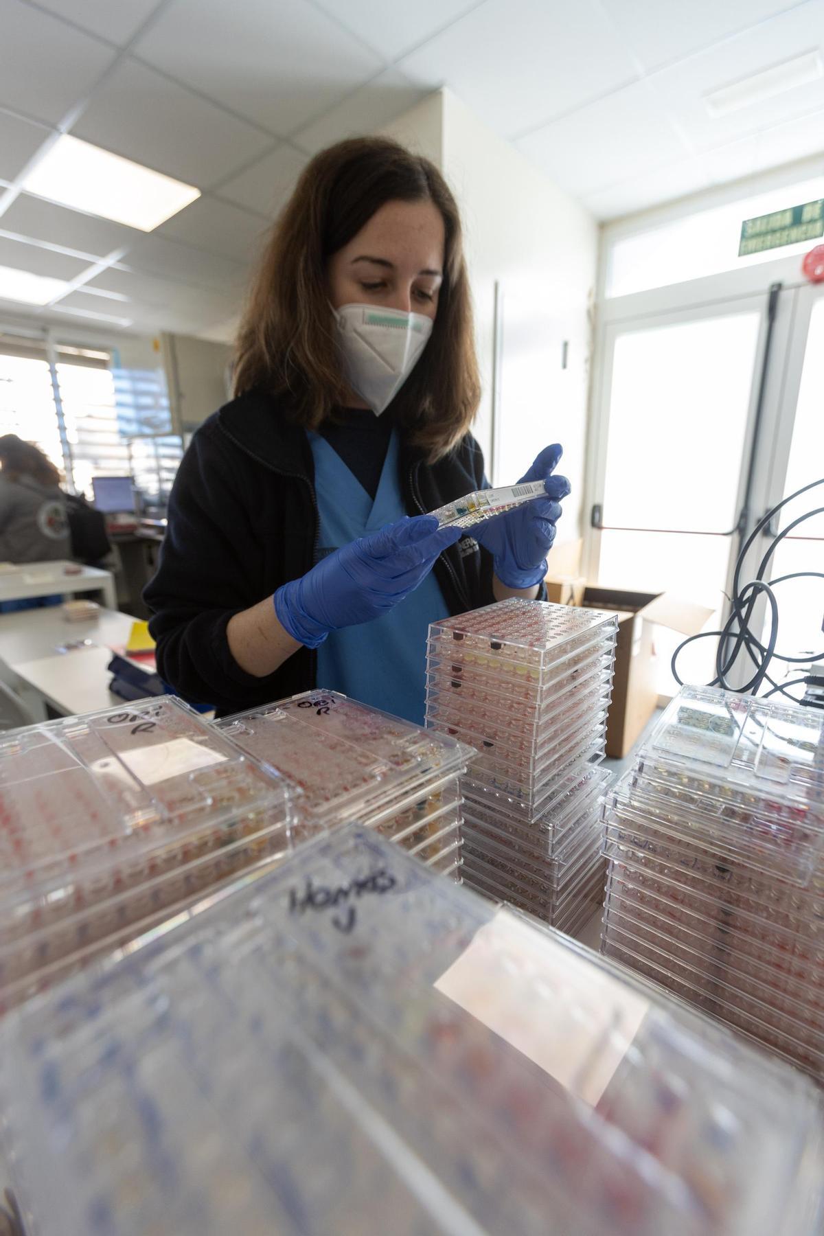 Investigación en virus y bacterias Investigación en virus y bacterias