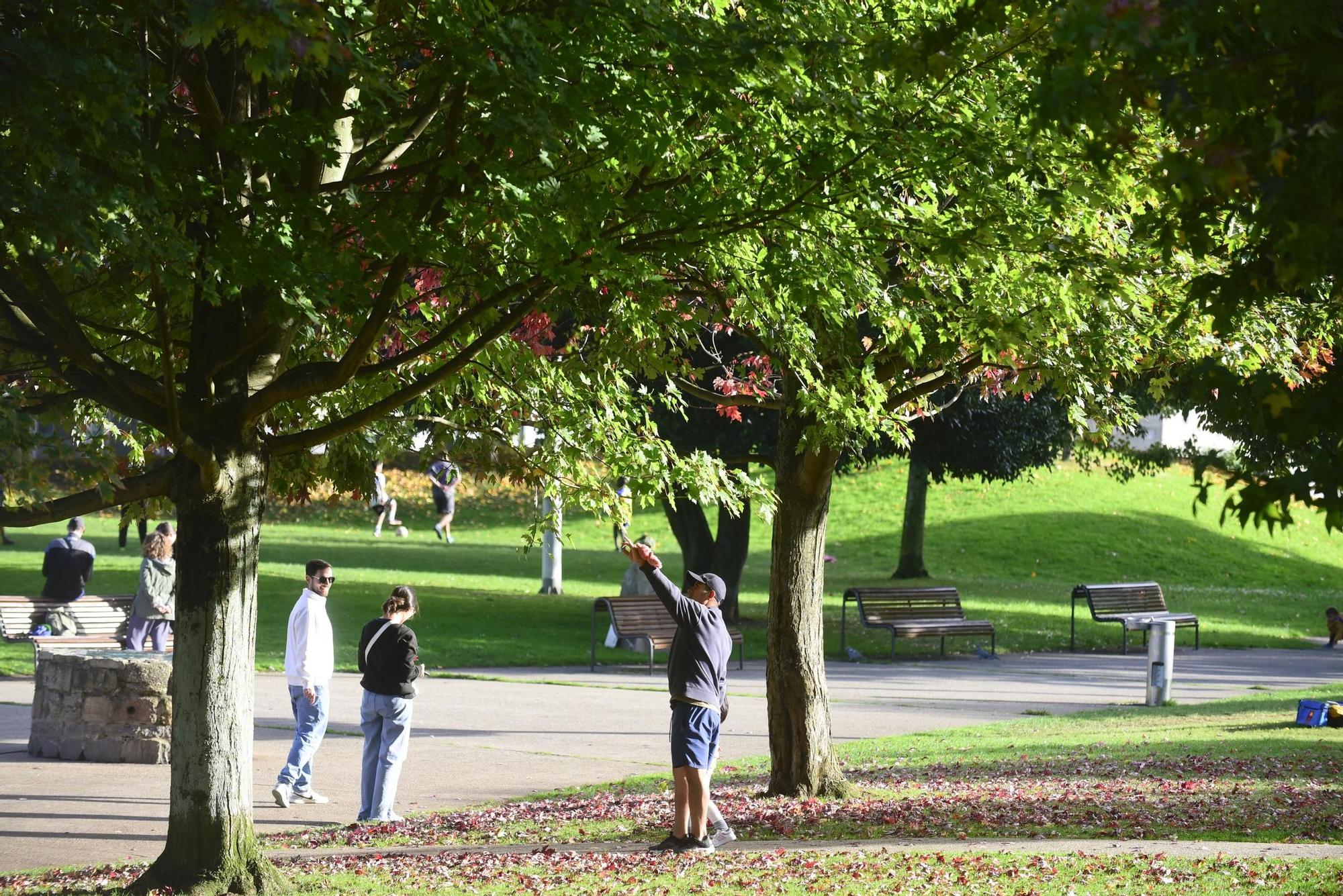 El parque de Vioño: la estampa perfecta del otoño en A Coruña