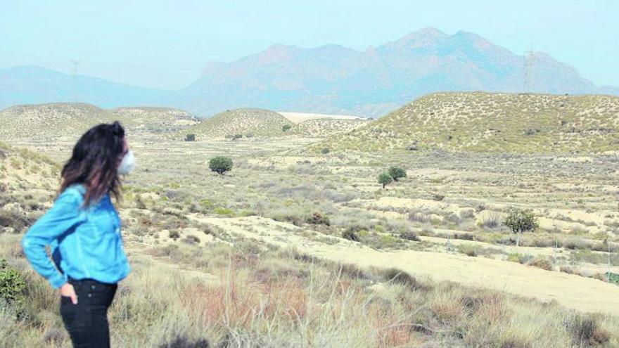 Toda el área que va desde Sant Joan a Xixona, que hace 25 años era un vergel, está sometida hoy a un grave problema de desertificación. | MANUEL R. SALA
