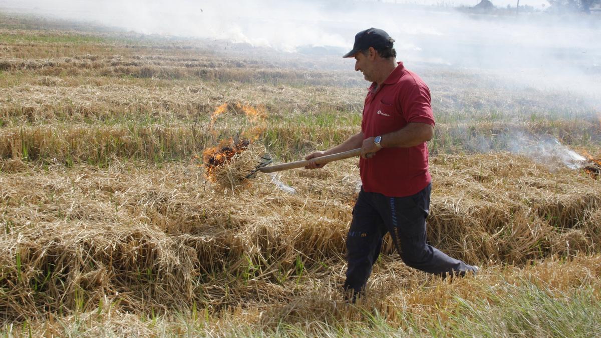 Enrique, un agricultor de cullera, quema la paja de arroz en el término municipal de sueca