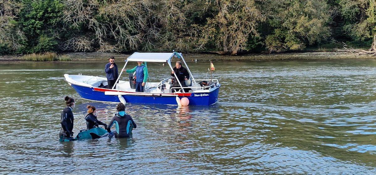 Traslado del delfín a la embarcación que llevaría a la boca de la ría.