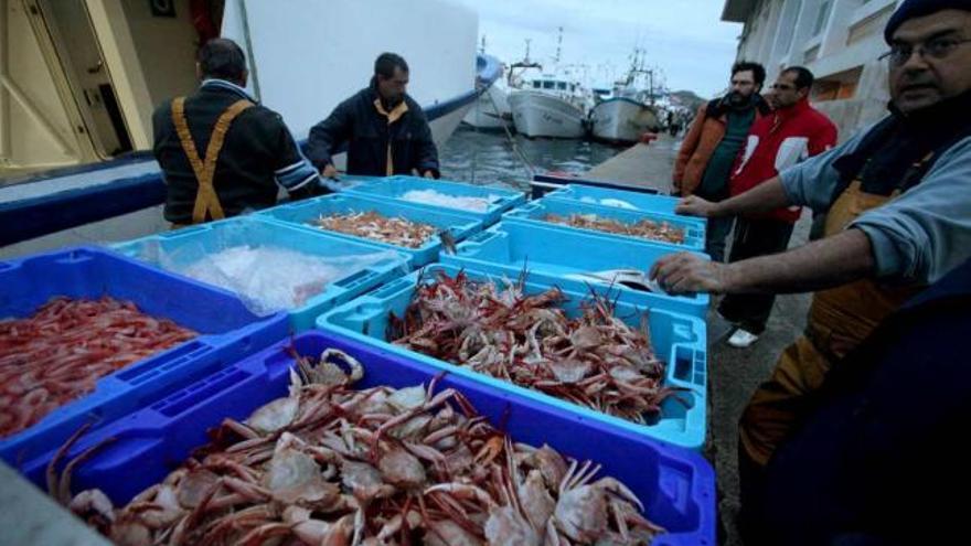 Pescadores de la Cofradía de La Vila, descargando el género del día.