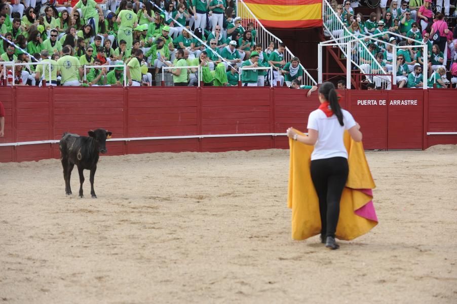 Becerrada, encierros y vaca de la sangría